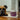Skin & Coat for Dogs