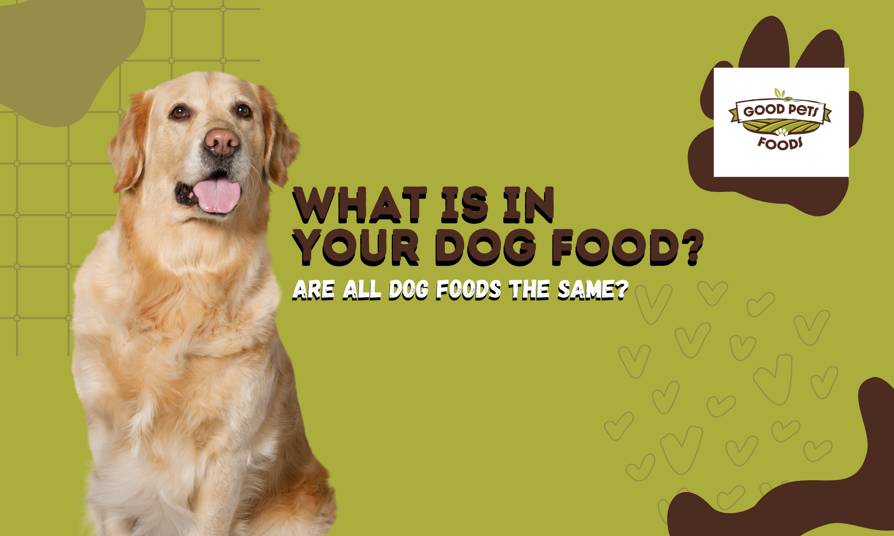 Importance of Healthy Dog Food Good Pets Foods