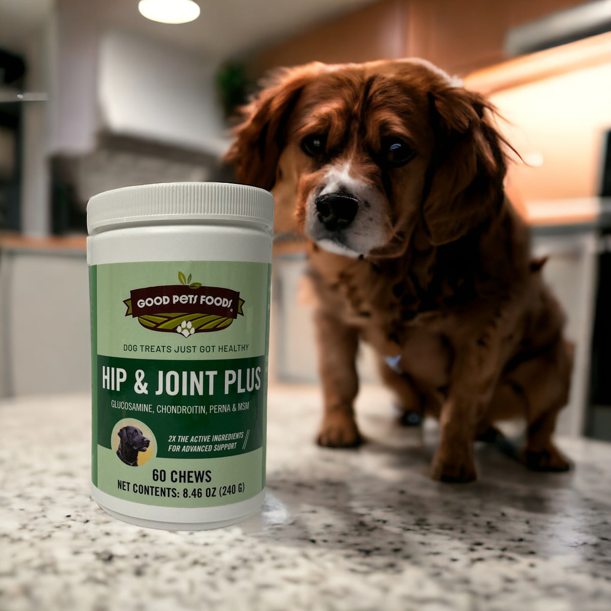 Joint Support Pro for Dogs – Good Pets Foods